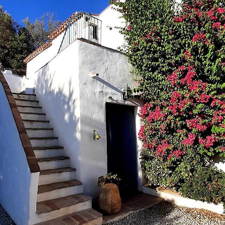 Viñuela Attico Los Montes With Private Pool מראה חיצוני תמונה