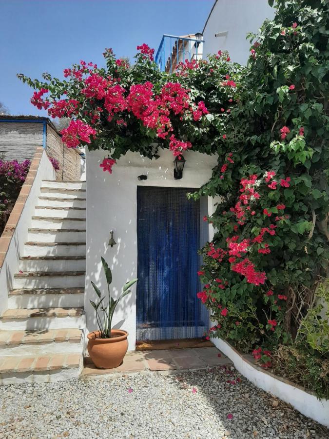 Viñuela Attico Los Montes With Private Pool מראה חיצוני תמונה