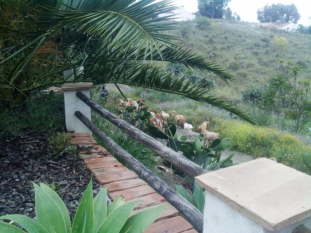 Viñuela Attico Los Montes With Private Pool חדר תמונה